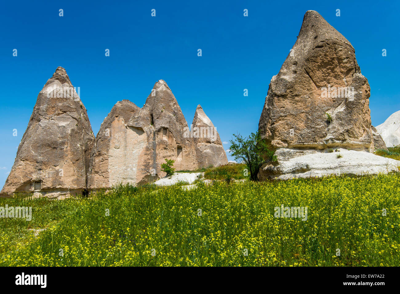 Paesaggio panoramico vista in primavera nei pressi di Goreme, Cappadocia, Turchia Foto Stock