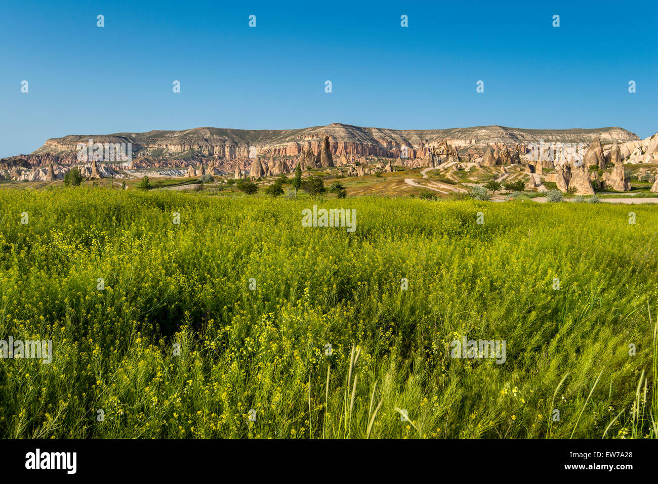 Paesaggio panoramico in primavera, Cappadocia, Turchia Foto Stock