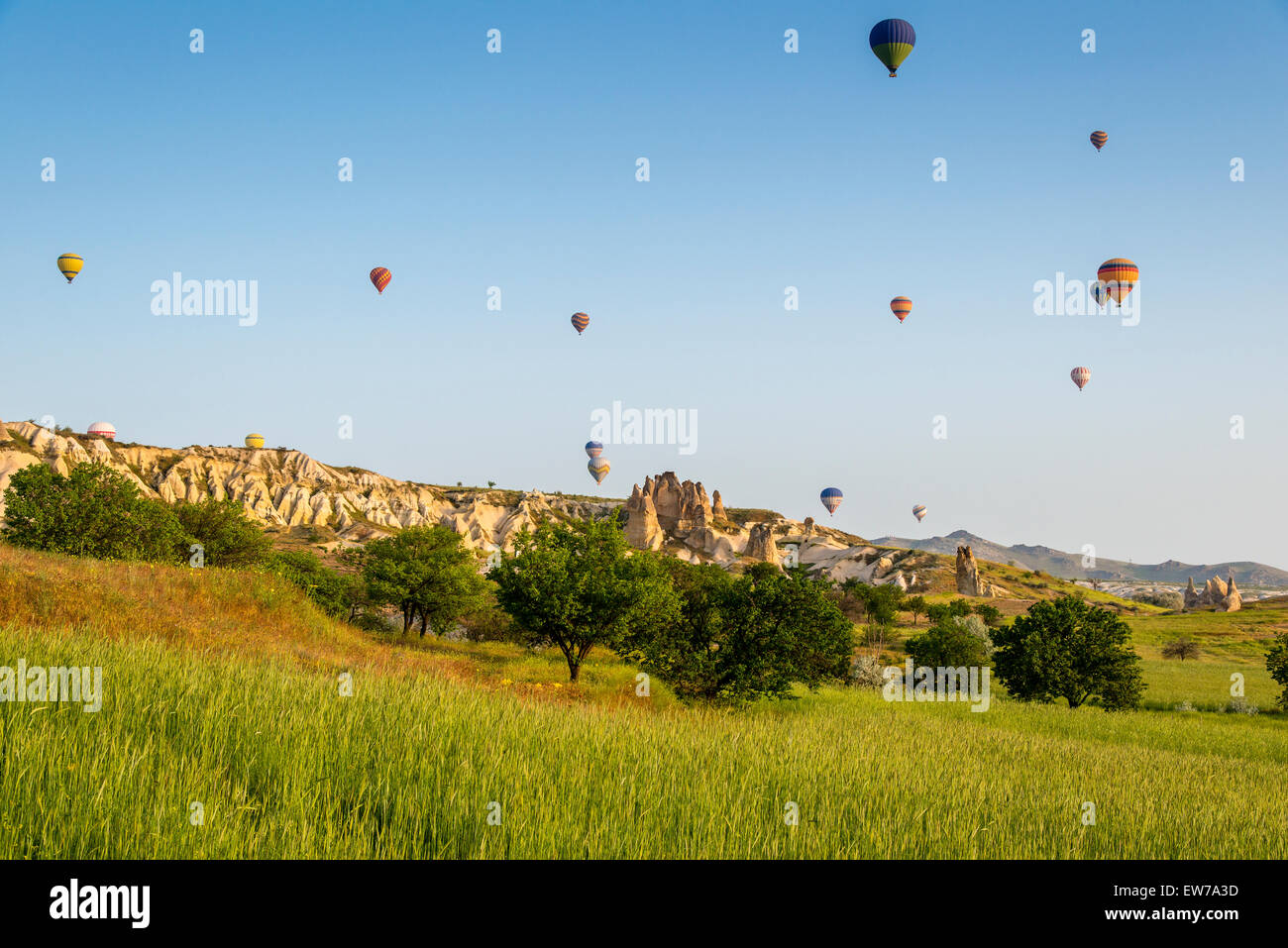 Paesaggio panoramico con i palloni ad aria calda, Goreme, Cappadocia, Turchia Foto Stock