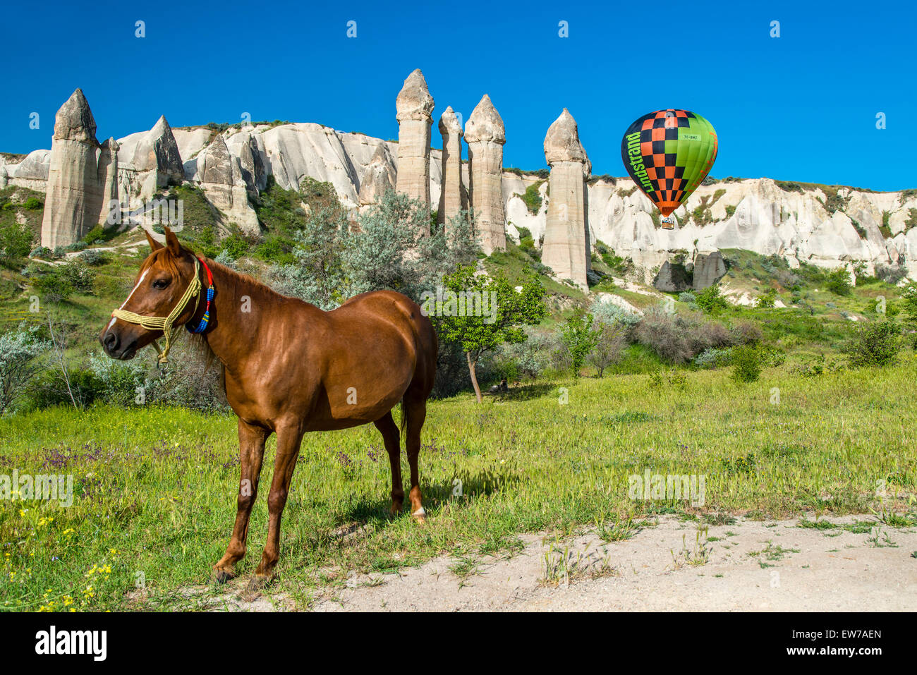 Scenic Camini di Fata paesaggio in primavera, Goreme, Cappadocia, Turchia Foto Stock