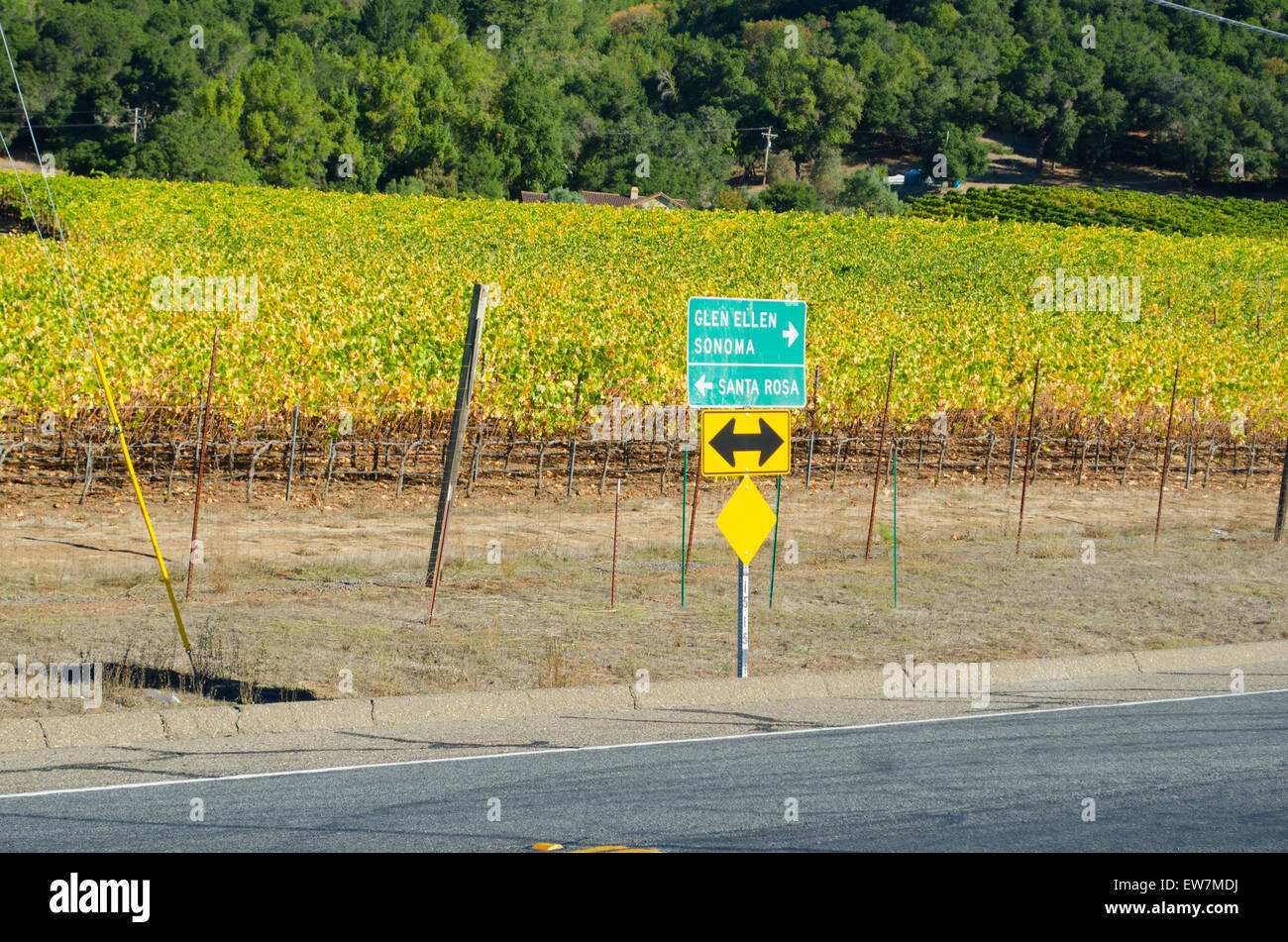 Cartello stradale in Napa County, California con le direzioni di Glen Ellen, Sonoma e Santa Rosa, Vigna di uva in background Foto Stock