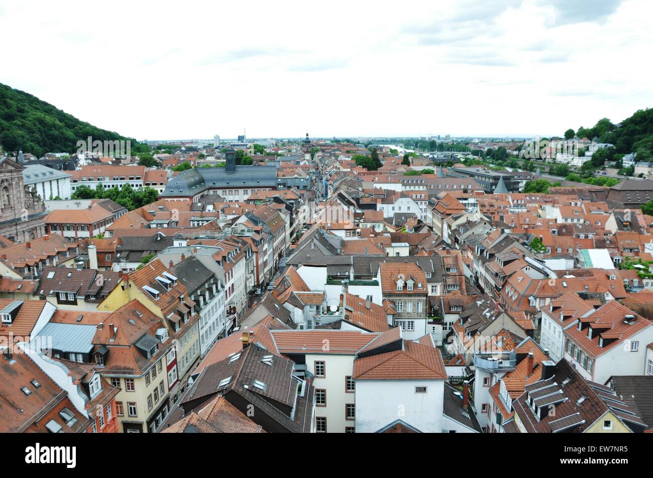 Vista sui tetti delle case nel centro storico della città di Heidelberg in Baden Wurttemberg, Germania Foto Stock