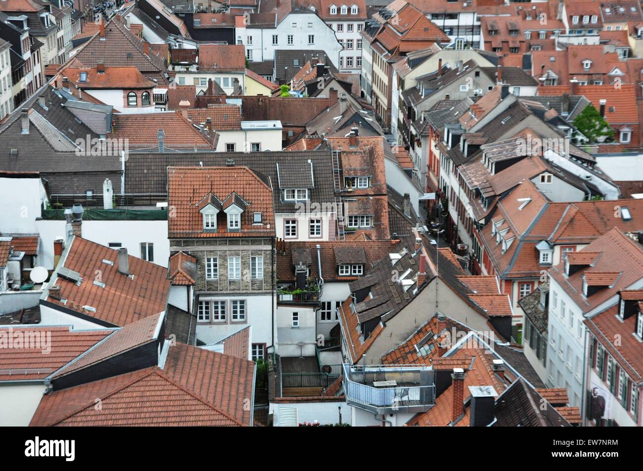 Vista sui tetti delle case nel centro storico della città di Heidelberg in Baden Wurttemberg Germania Foto Stock