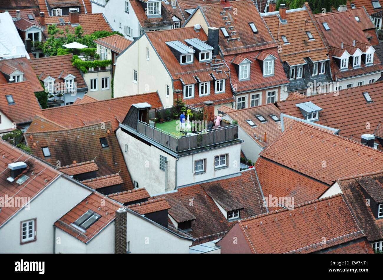 Vista sui tetti delle case nel centro storico della città di Heidelberg in Baden Wurttemberg Germania Foto Stock