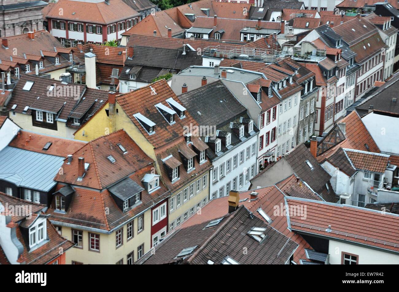 Vista sui tetti delle case nel centro storico della città di Heidelberg in Baden Wurttemberg, Germania Foto Stock