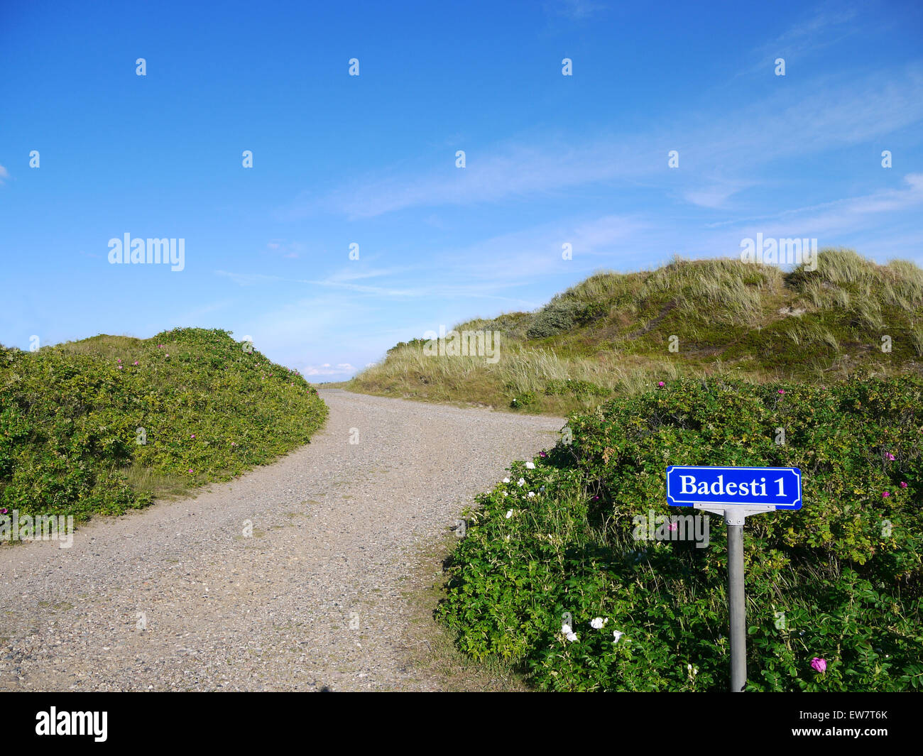 Beach path, Fanoe, Jutland, Danimarca Foto Stock