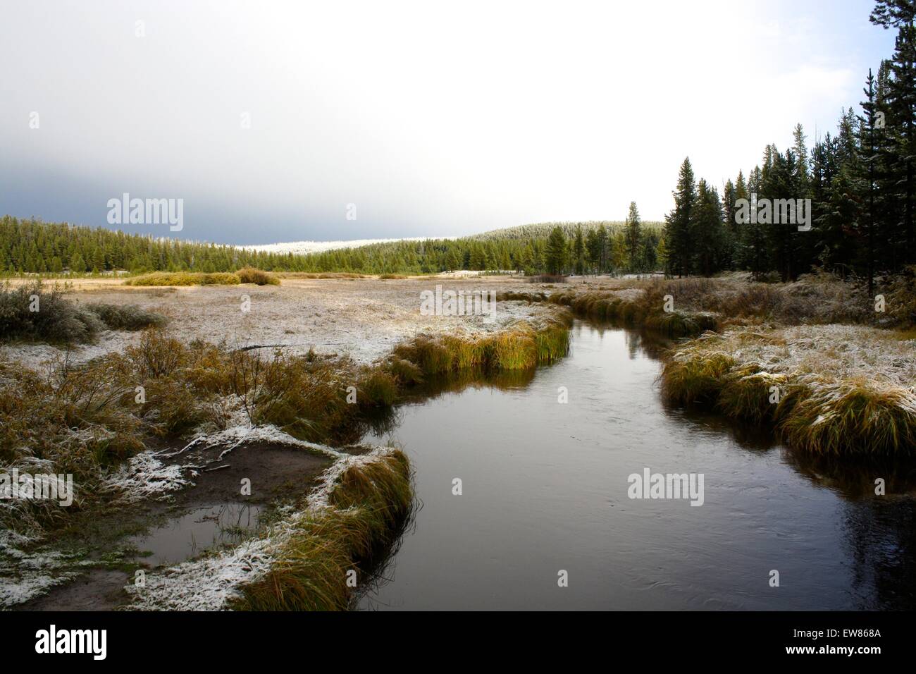 Primo gelo a Yellowstone, Montana Foto Stock