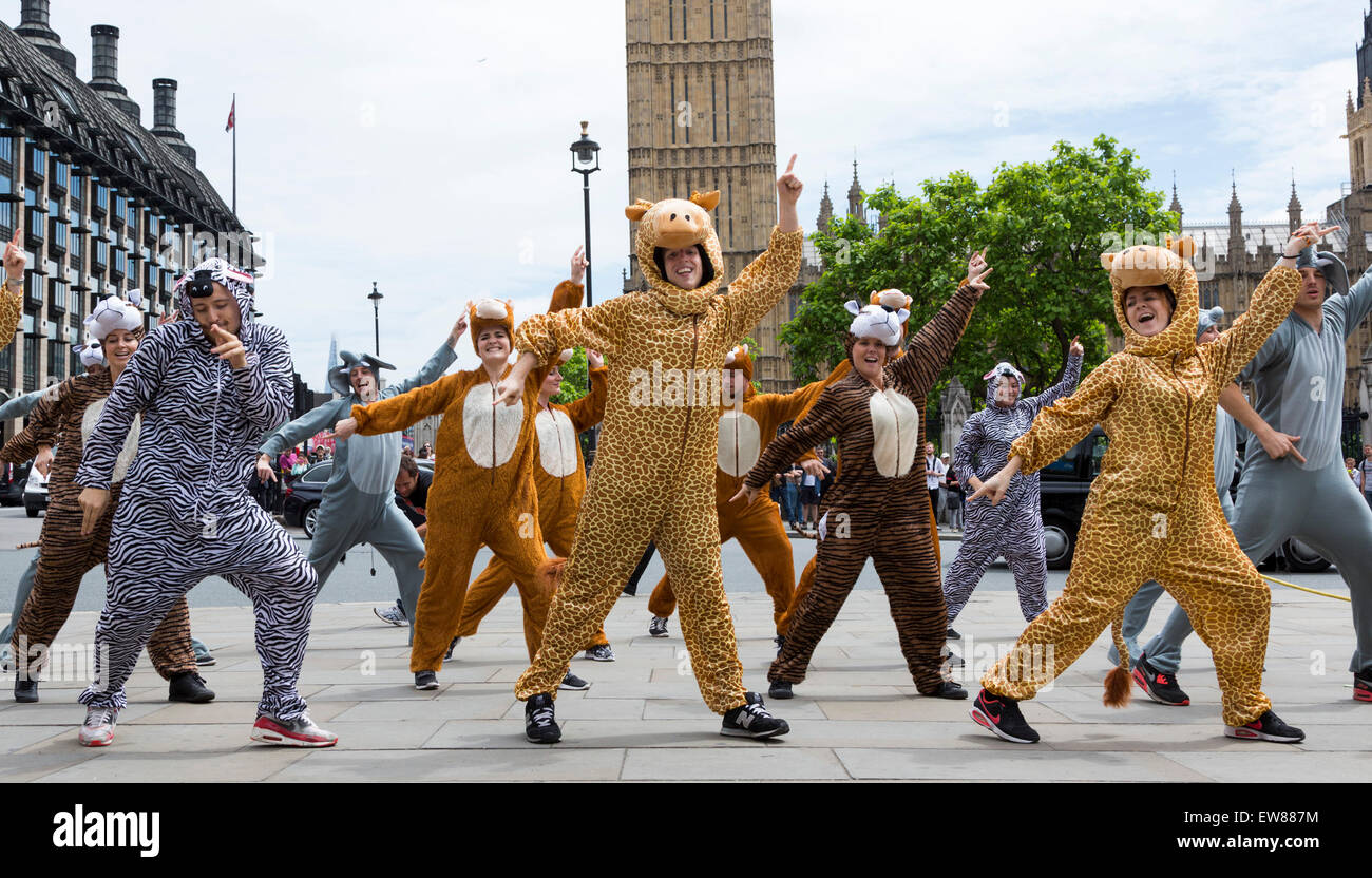 Il Cambiamento Climatico gli attivisti in costumi animale ballato in piazza del Parlamento prima di un grande evento di lobbying con MPs sul cambiamento climatico presso le Case del Parlamento. Foto Stock