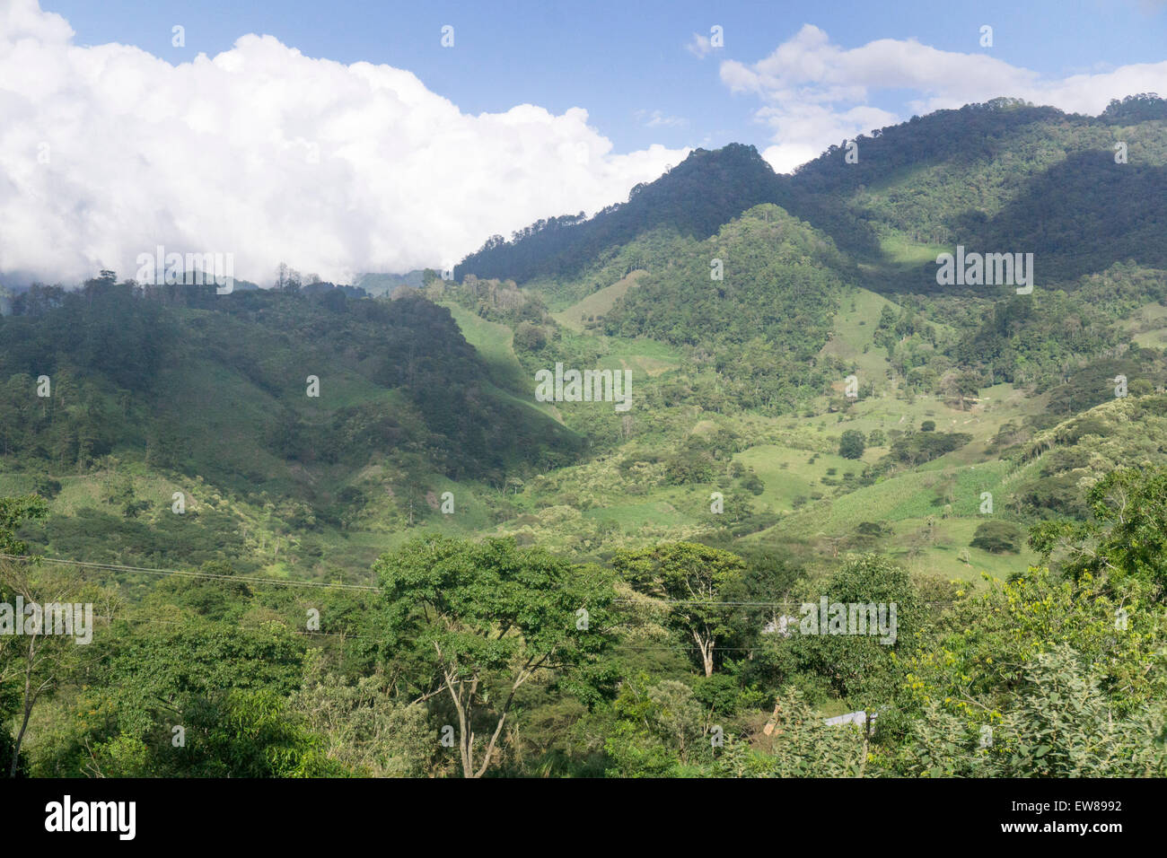 Spostando il cloud ombre si dipanano attraverso il verdeggiante paesaggio montuoso con patch coltivati in aree bonificate nei pressi di Ocosingo Chiapas Foto Stock