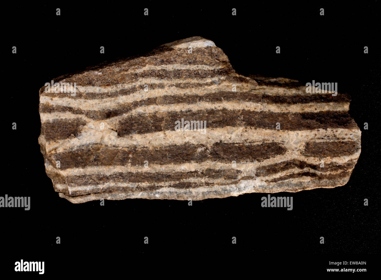 Foliated gneiss, Maryland, una roccia metamorfica Foto Stock