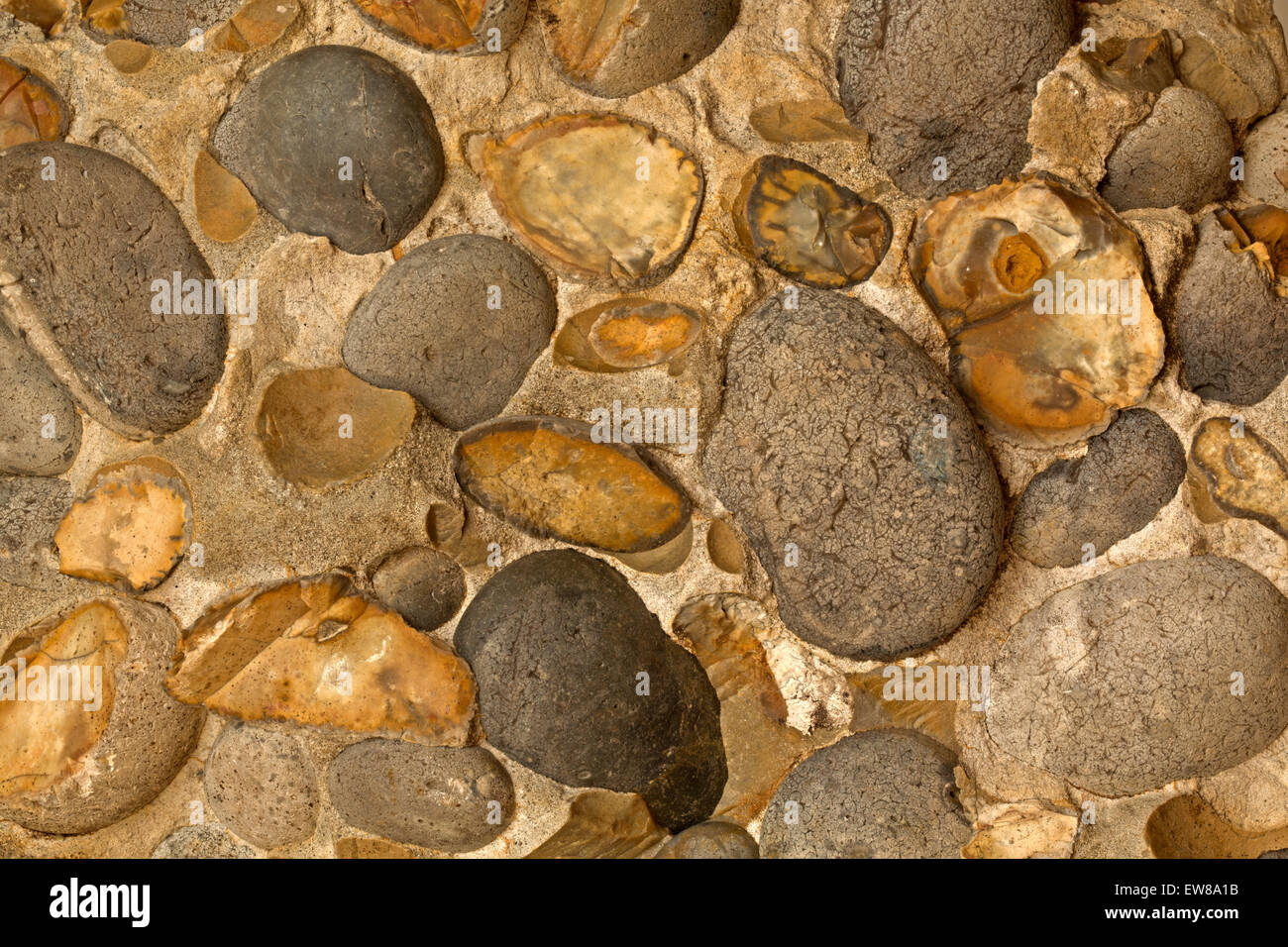 Hertfordshire puddingstone, tipo di conglomerato, Hertfordshire , inghilterra, molto folklore circonda questa roccia sedimentaria Foto Stock