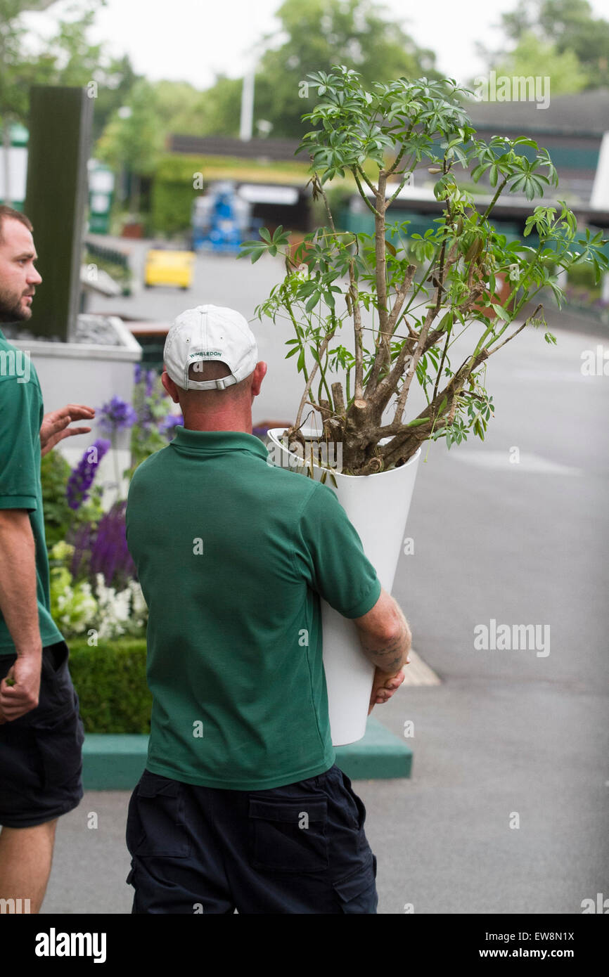 Wimbledon Londra,UK. Xx Giugno 2015. Il personale di terra applica tocchi di rifinitura come continuano i preparativi prima di iniziare il 2015 Wimbledon Tennis Championships Foto Stock