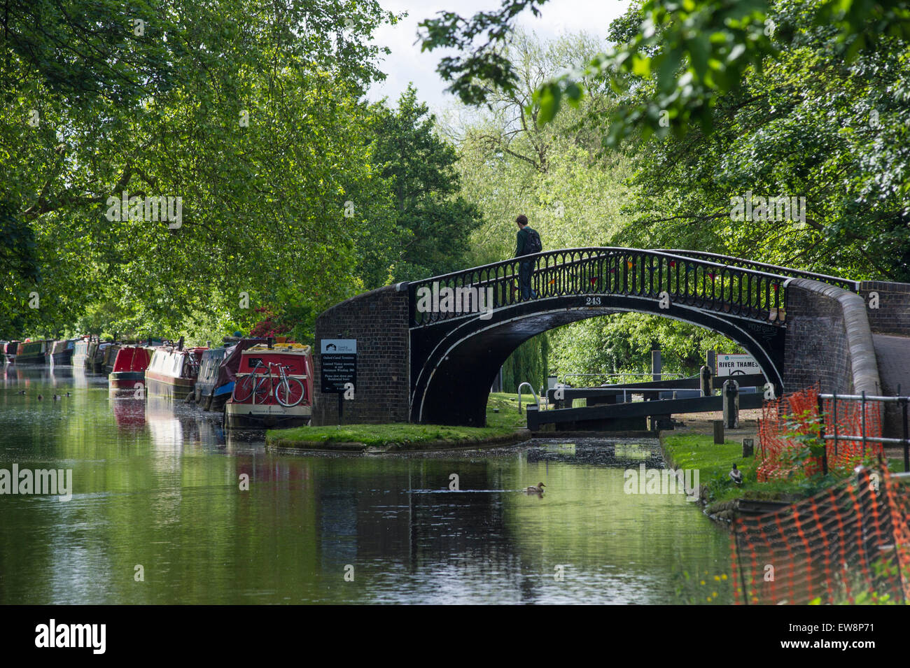 Case galleggianti su un canale in Oxford su una giornata d'estate Foto Stock