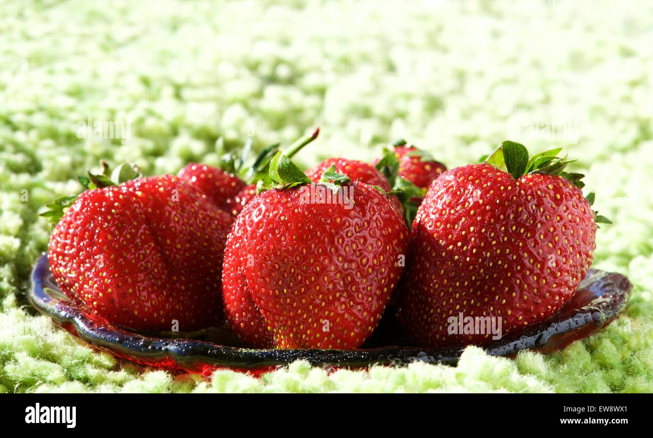 Fragole fresche con sfondo verde, fragole, frutta di stagione sulla molla, frutti rossi, a bacca rossa, frutta estiva, estate Foto Stock