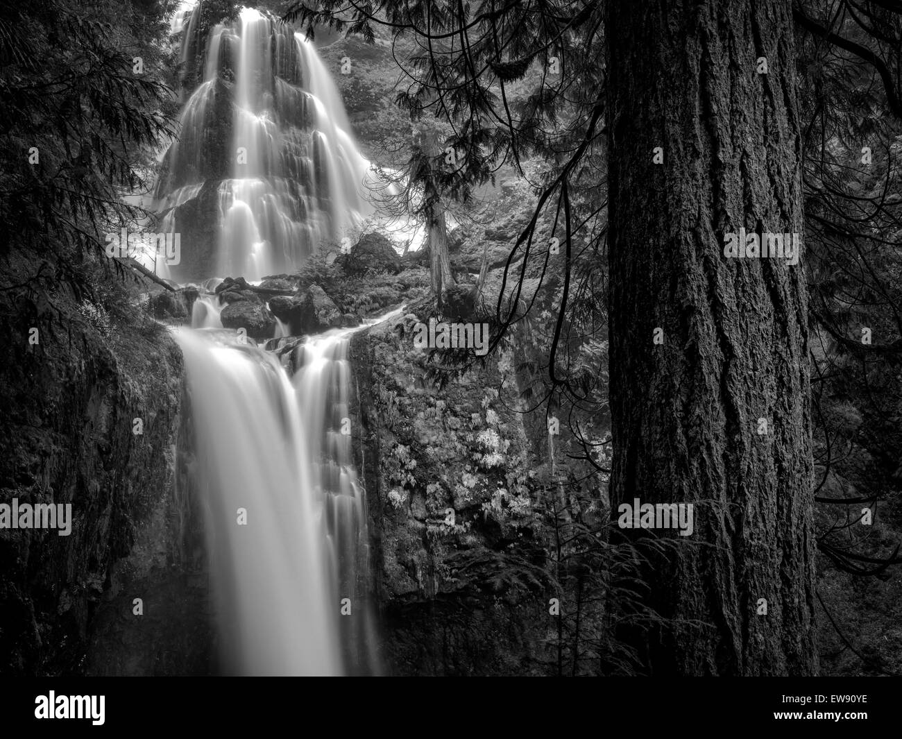Falls Creek Falls, Washington. Foto Stock