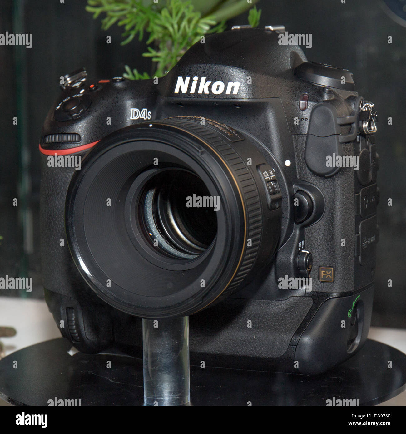 Il prototipo Nikon D4S, esposto al CP+ 2014, una reflex digitale avanzata con messa a fuoco automatica migliorata e prestazioni ISO elevate per i fotografi professionisti. Foto Stock