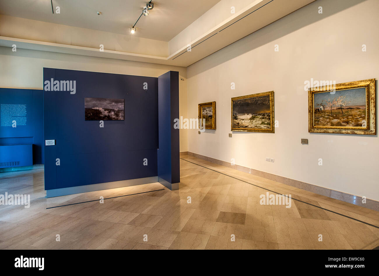 ebano bellezze Galleria
