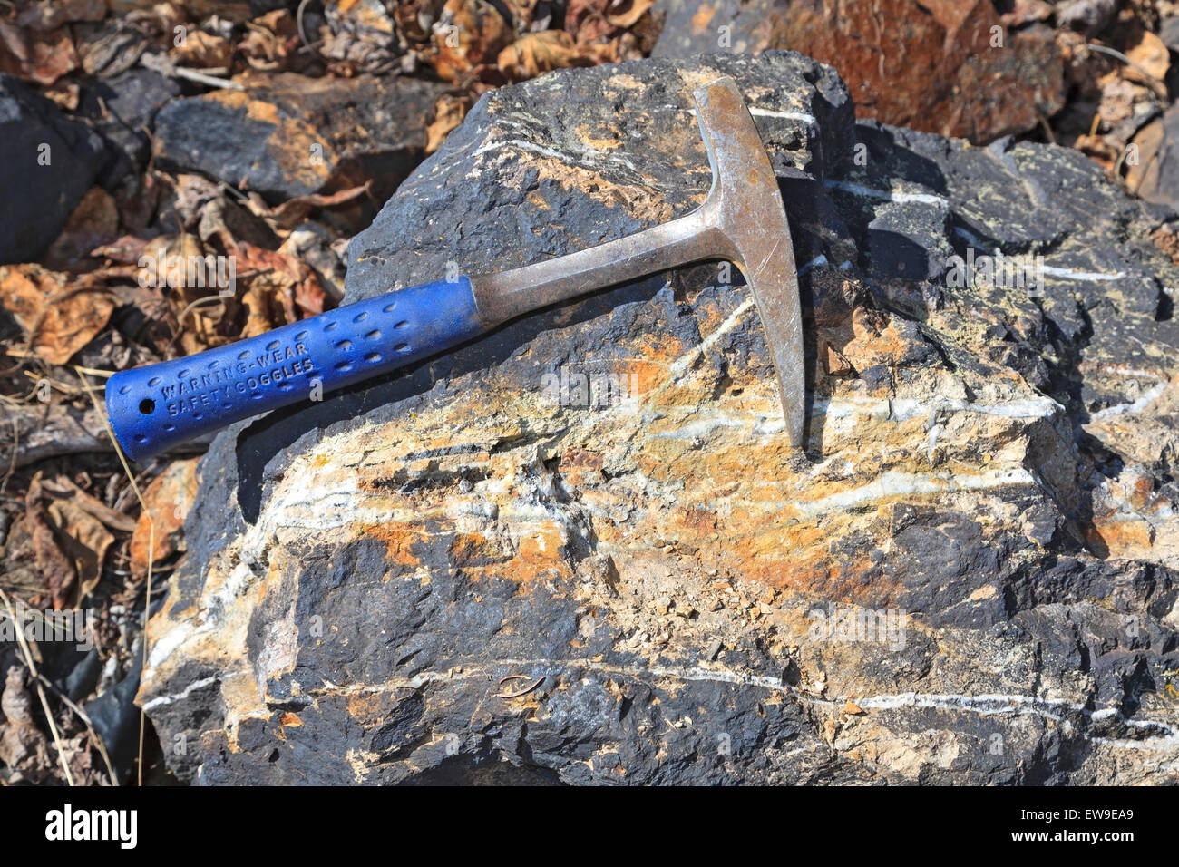 Esplorazione mineraria. Martello di roccia di minerali laden rock,  Smithers, British Columbia Foto stock - Alamy