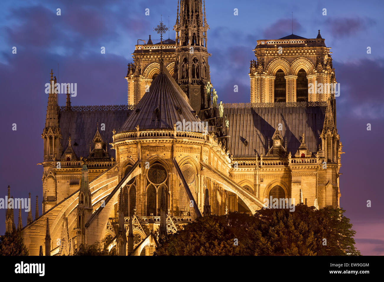 Cattedrale di Notre Dame, Paris, Francia Foto Stock