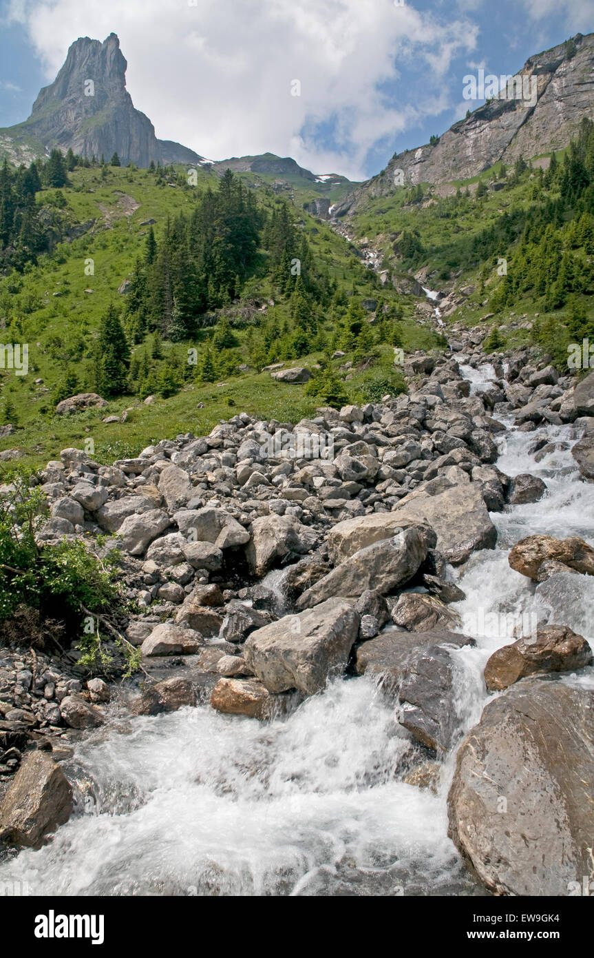 La valle del Sous Bach nell Oberland bernese Foto Stock