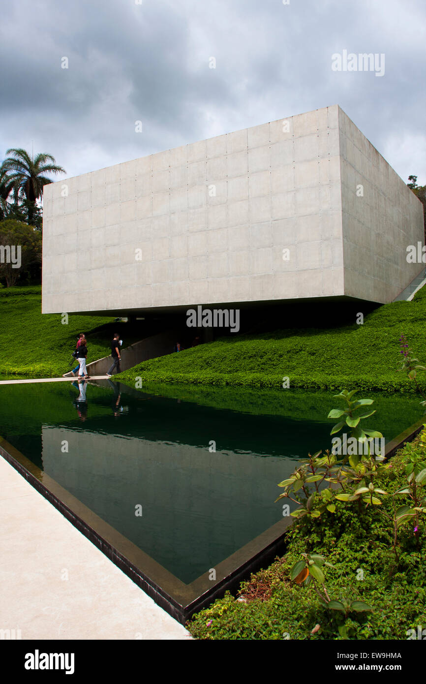 Inhotim, arte contemporanea, giardini botanici, Brumhadinho, Minas Gerais, Brasile, Galleria Adriana Varejão, Foto Stock