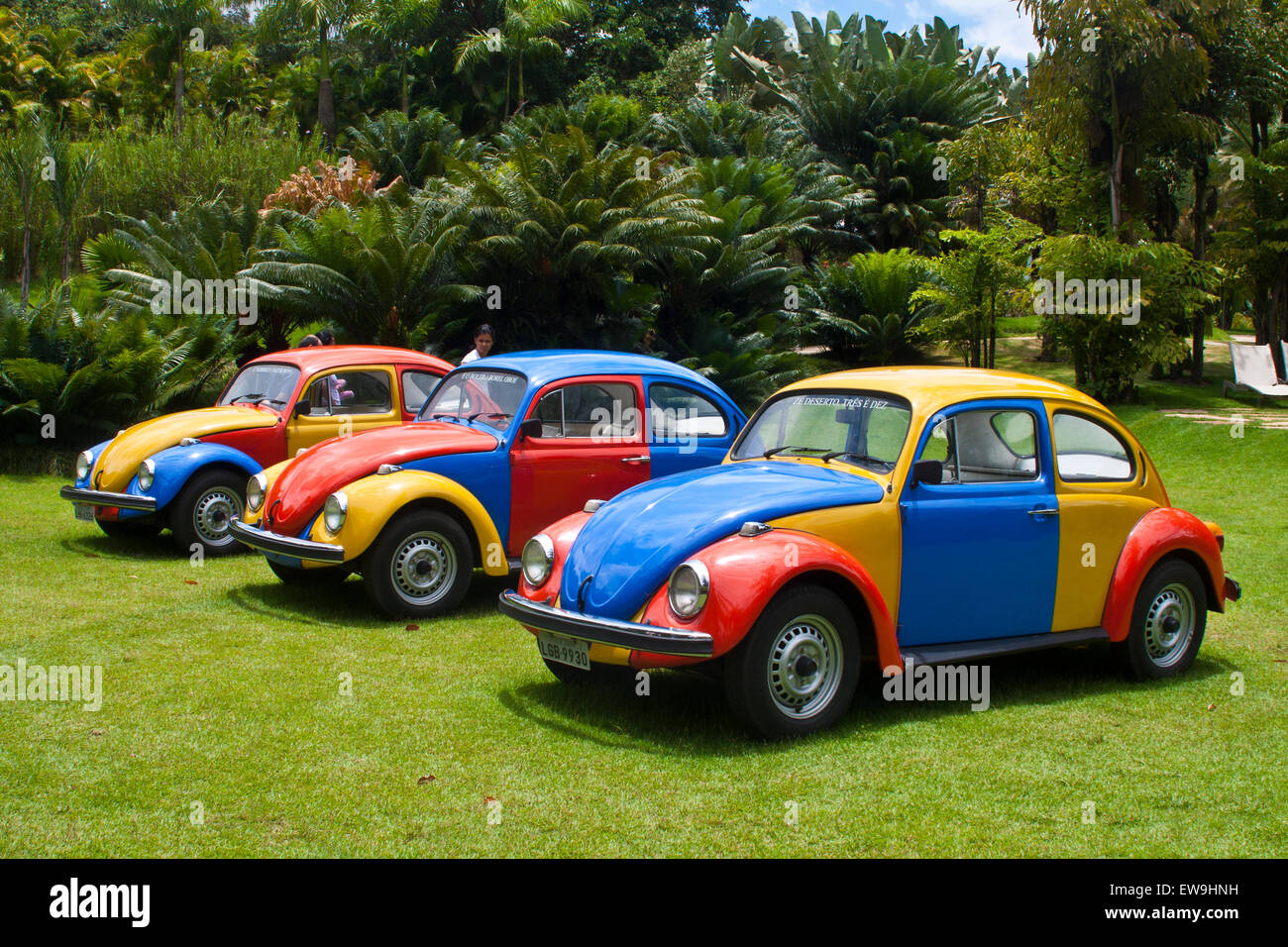 Inhotim, arte contemporanea, giardini botanici, Brumhadinho, Minas Gerais, Brasile, arte di installazione, Troca-Troca (swapping), Lopes Foto Stock