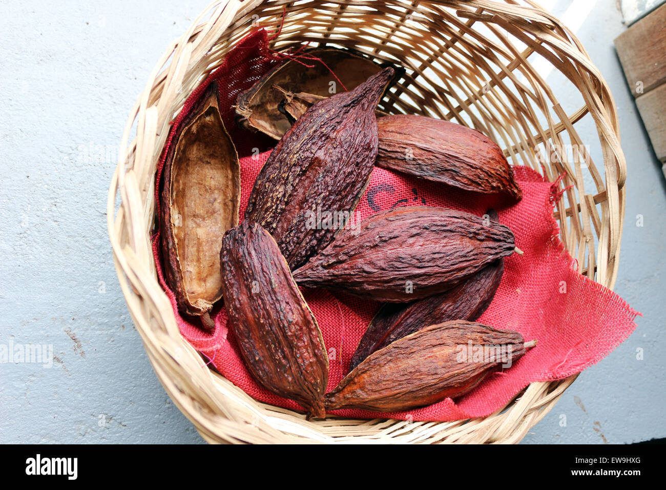 Asciugato il cacao Cialde close up Foto Stock