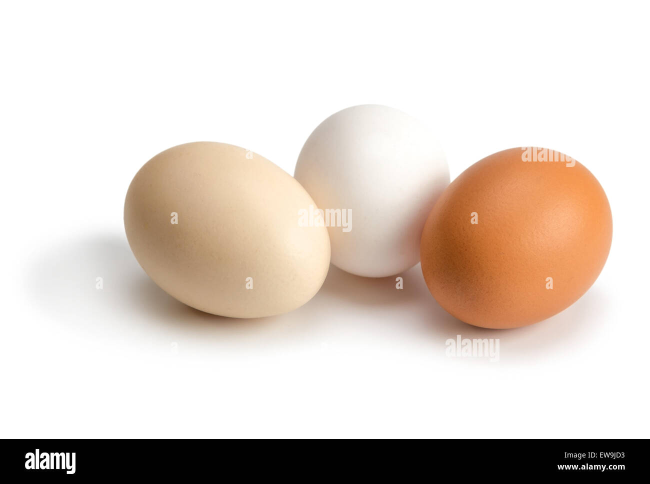 Le uova organiche di colori diversi isolati su sfondo bianco Foto Stock