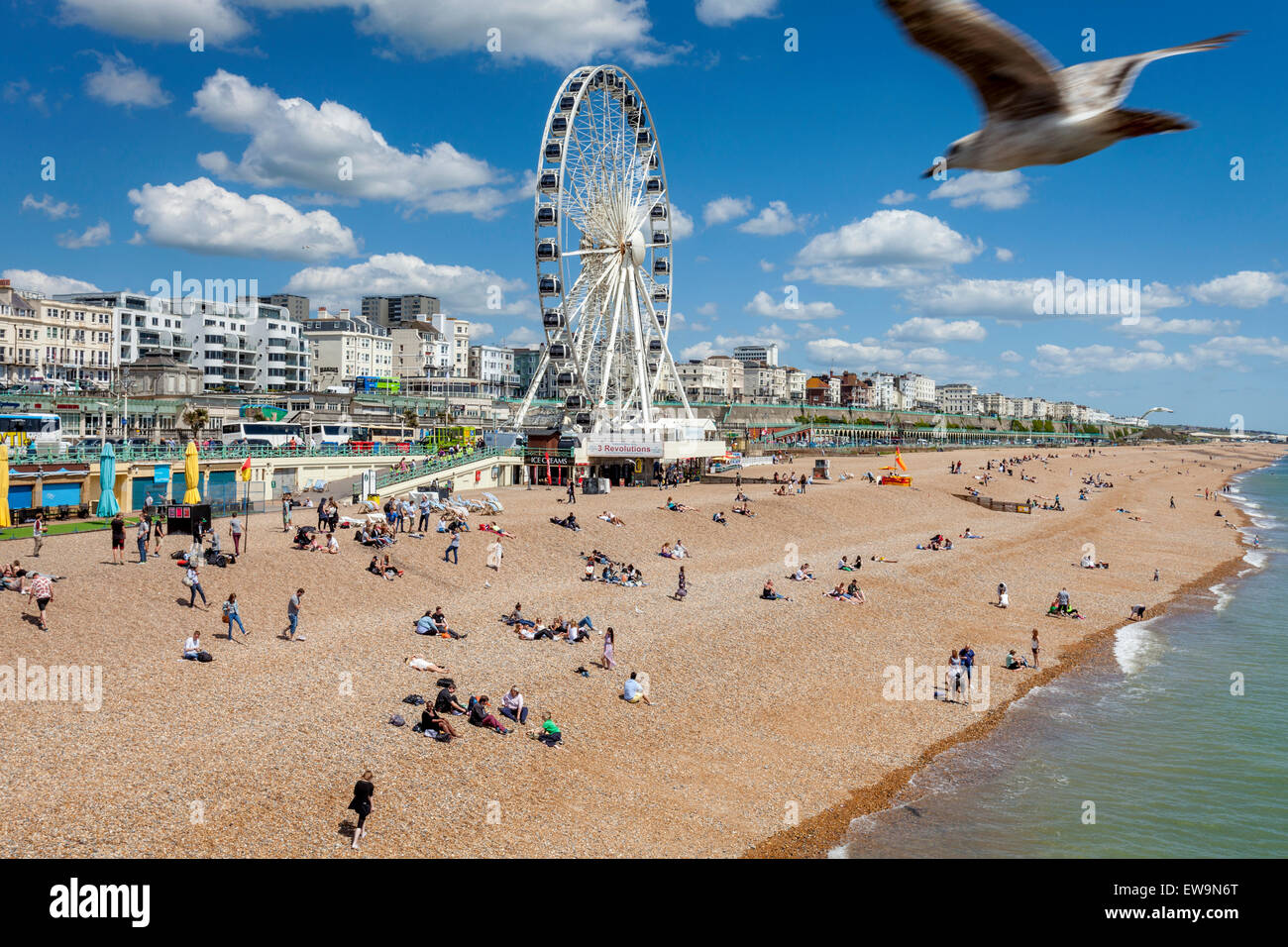 La spiaggia di Brighton, Brighton, Sussex, Inghilterra Foto Stock