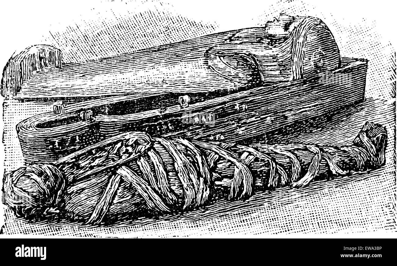 Mummia egizia e sarcofago (British Museum), vintage illustrazioni incise. Trousset enciclopedia (1886 - 1891). Illustrazione Vettoriale