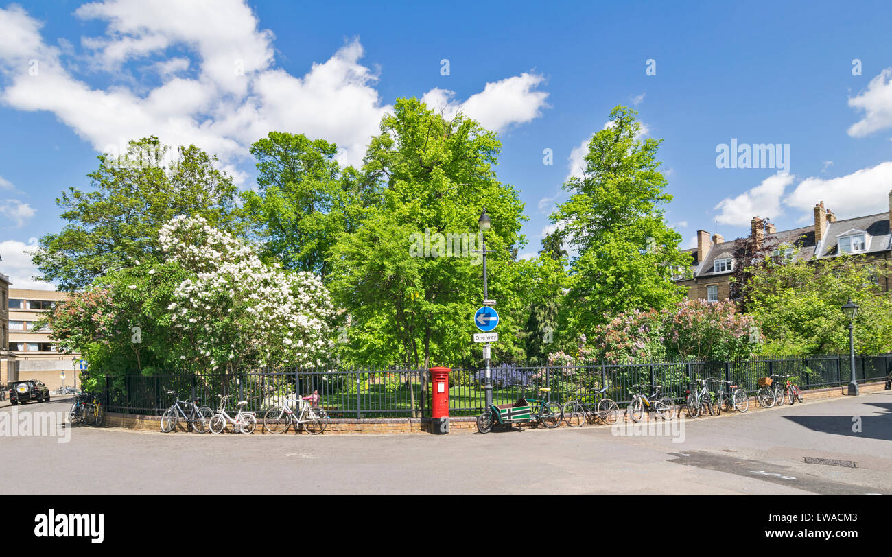 OXFORD CITY CENTRE Wellington Square e giardini Foto Stock