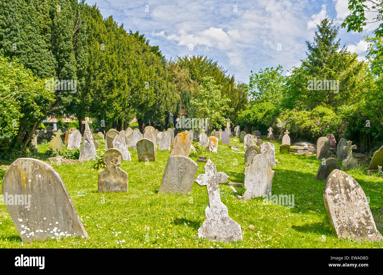 OXFORD CITY Gerico molte vecchie lapidi PENDENTE IN ST.sepolcro nel cimitero Foto Stock