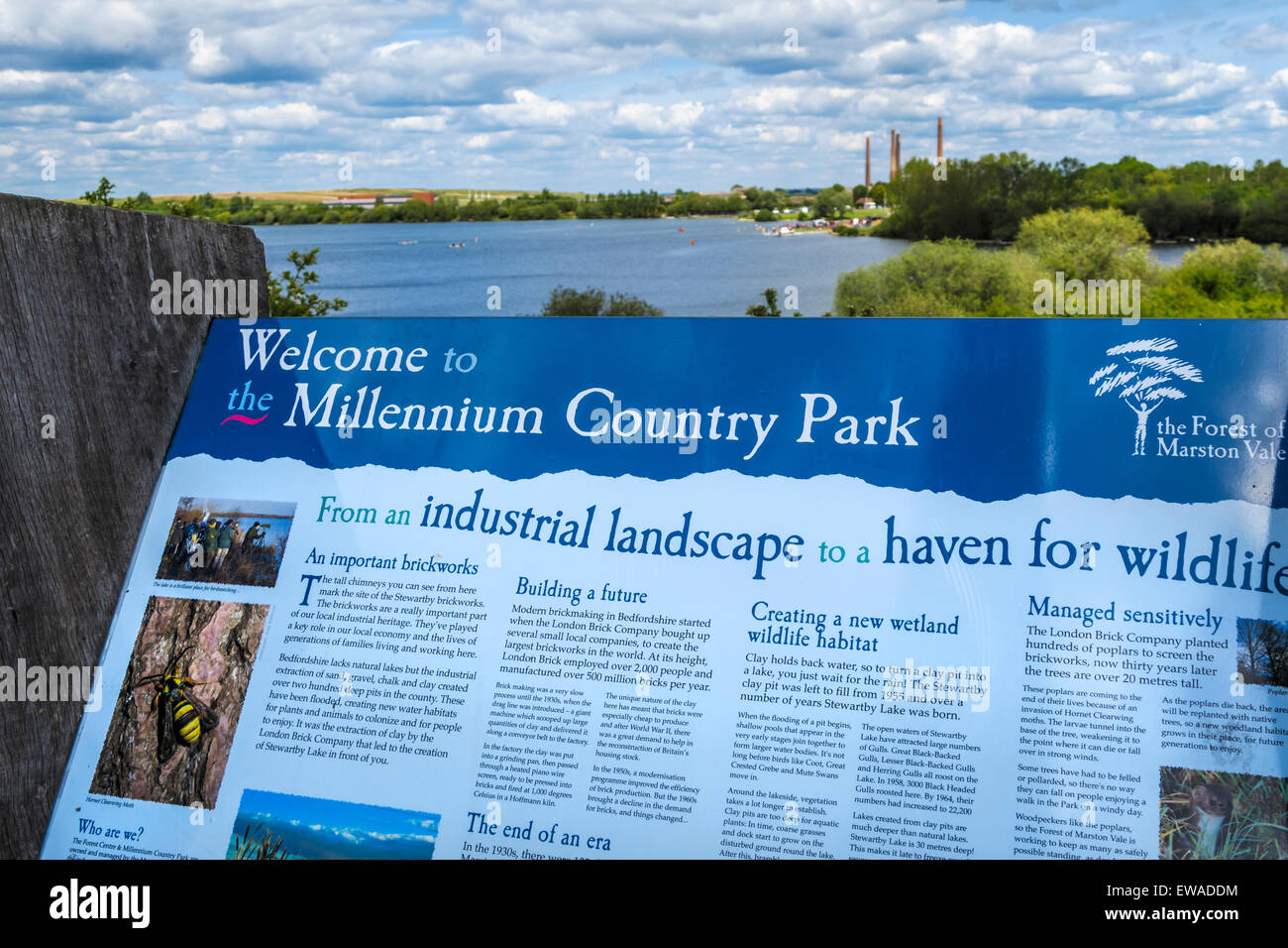 Indicazioni per il millennio Country Park, Marston Vale, Bedfordshire, Regno Unito Foto Stock