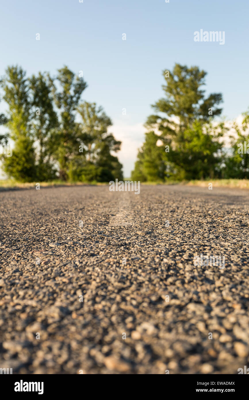 Strada asfaltata tra la sfocato albero linea Foto Stock