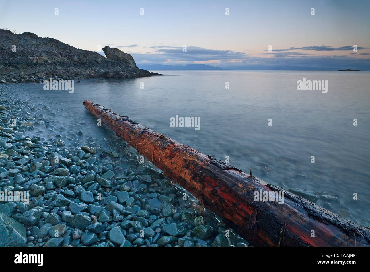 Driftwood accedere al Pipers Lagoon parco municipale, Nanaimo, British Columbia Foto Stock