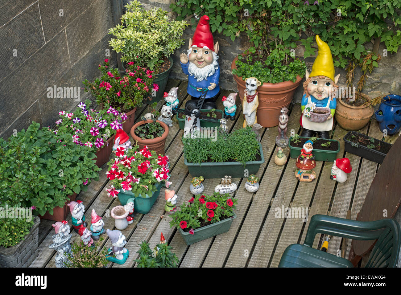 Gnomi da giardino in un seminterrato piatto nella zona nuova di Edinburgo. Foto Stock