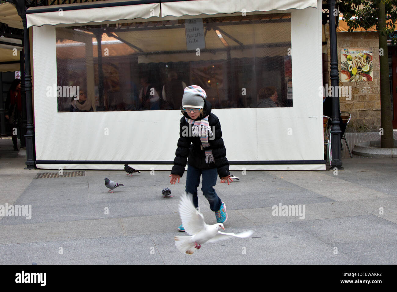 Una giovane ragazza caucasica insegue un piccione bianco per divertimento rendendo volare sulle strade di Cadice, Spagna. Foto Stock