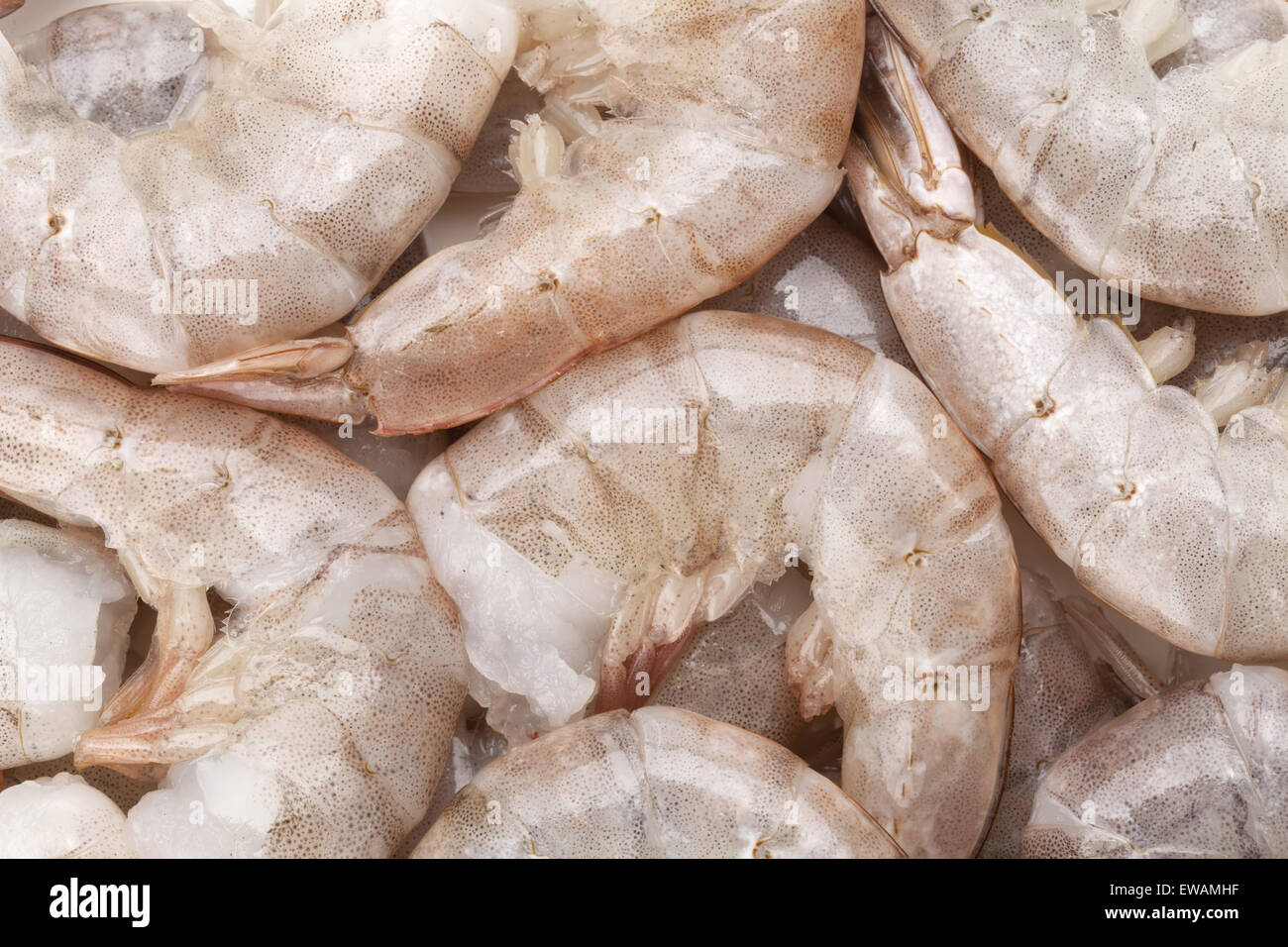 Materie non cotti i gamberetti. Primo piano sullo sfondo di cibo Foto Stock