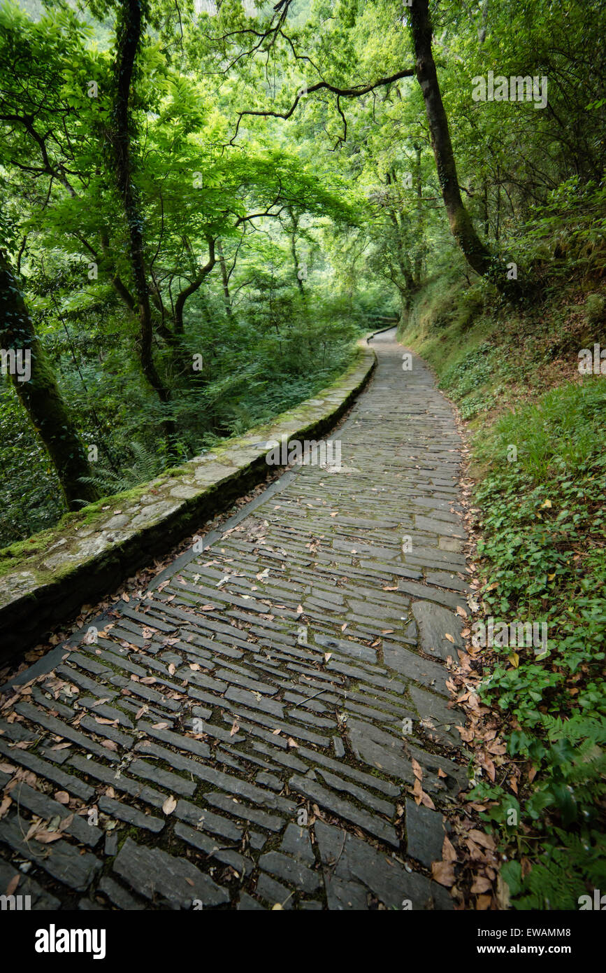 Passeggiata nel parco naturale "Fragas Eume CANC'. Questo posto è situato nel monastero di Caaveiro Foto Stock