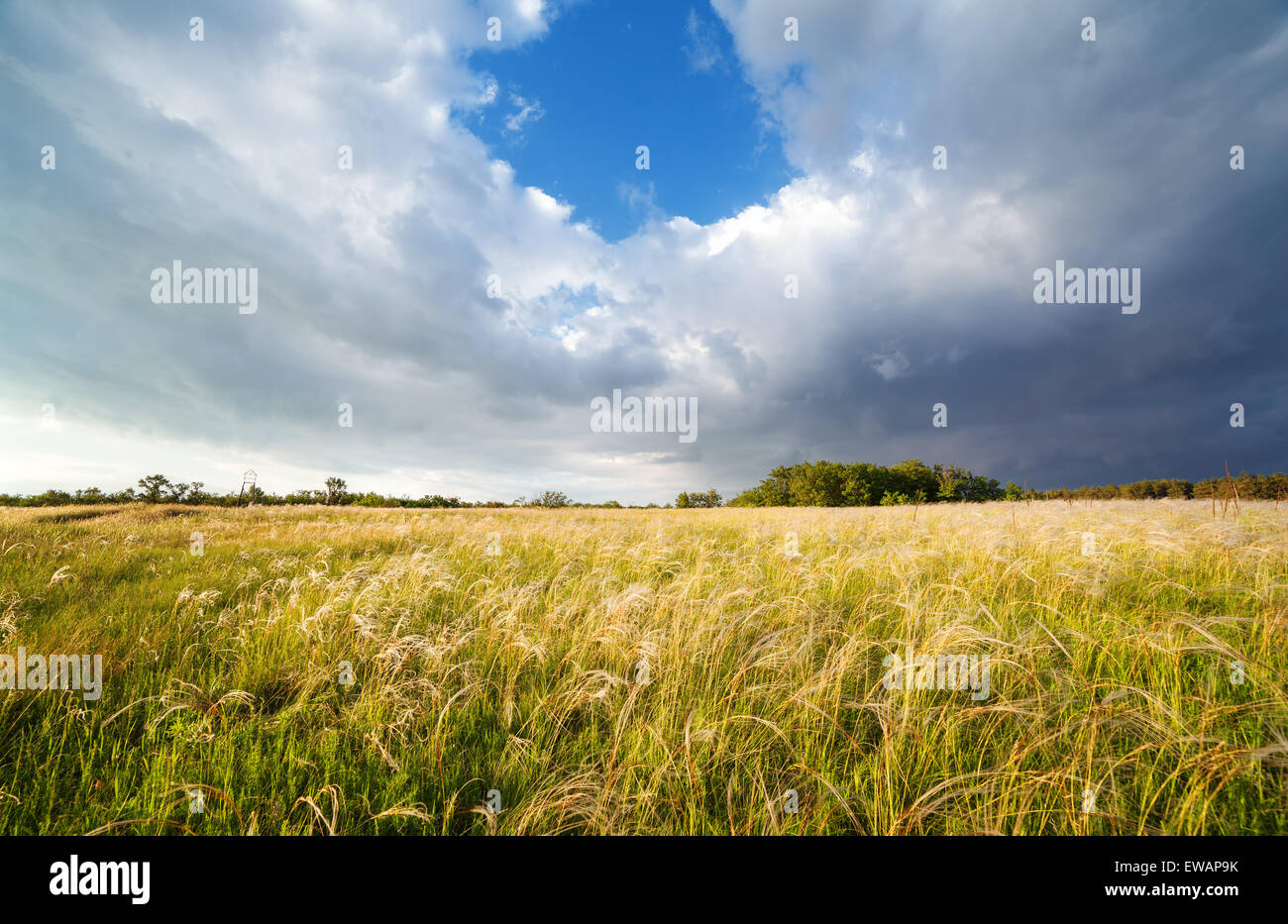 Bella Nuvoloso Tramonto al campo. Paesaggio estivo. Foto Stock