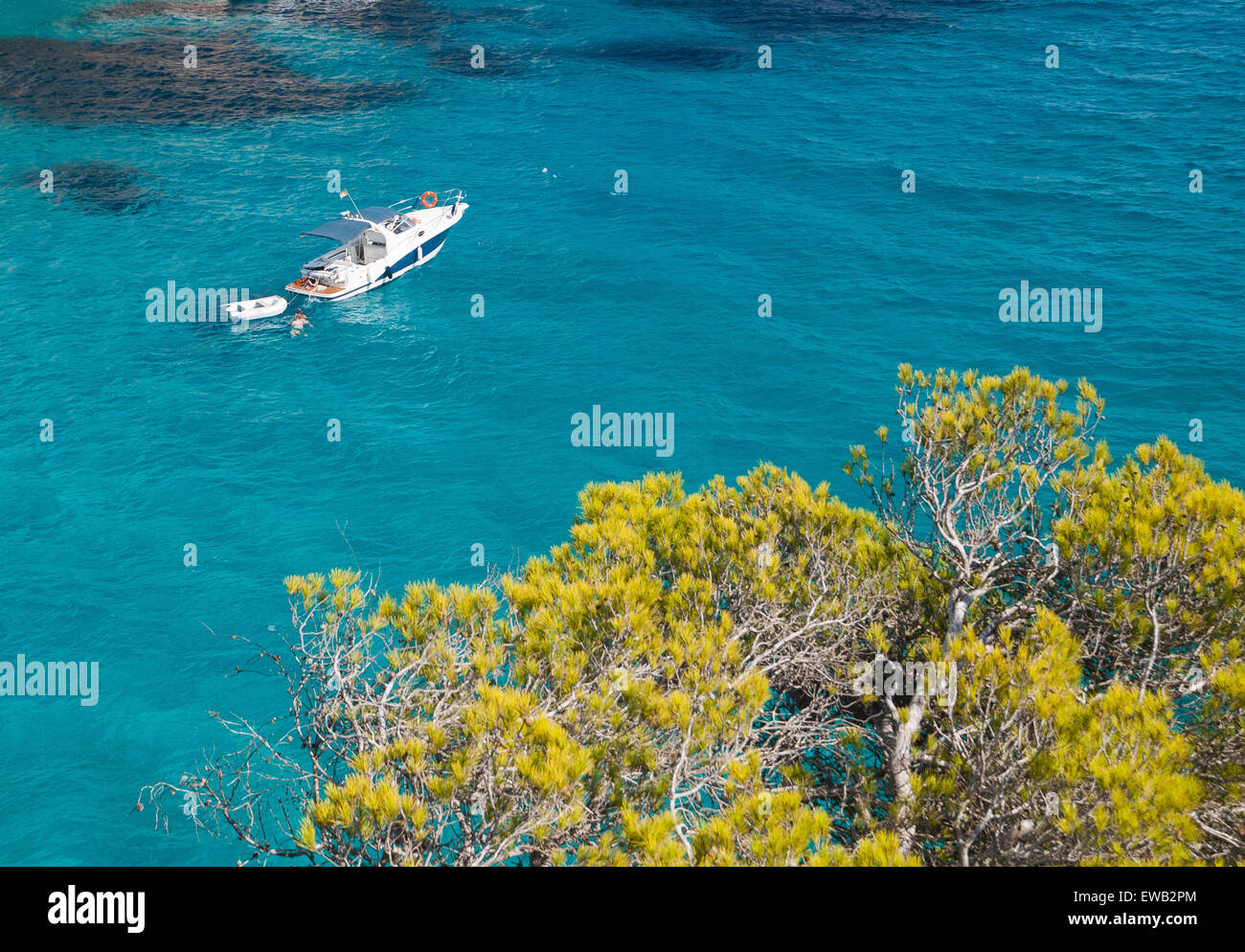 Yacht, mare e pino in Cala Macarella, Menorca, Spagna. Foto Stock