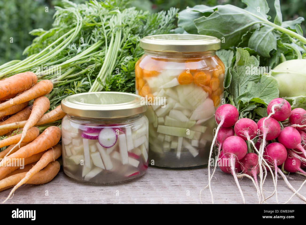 Occhiali con acido lattico verdure sottaceto, rape fresche, carote e ravanelli Foto Stock