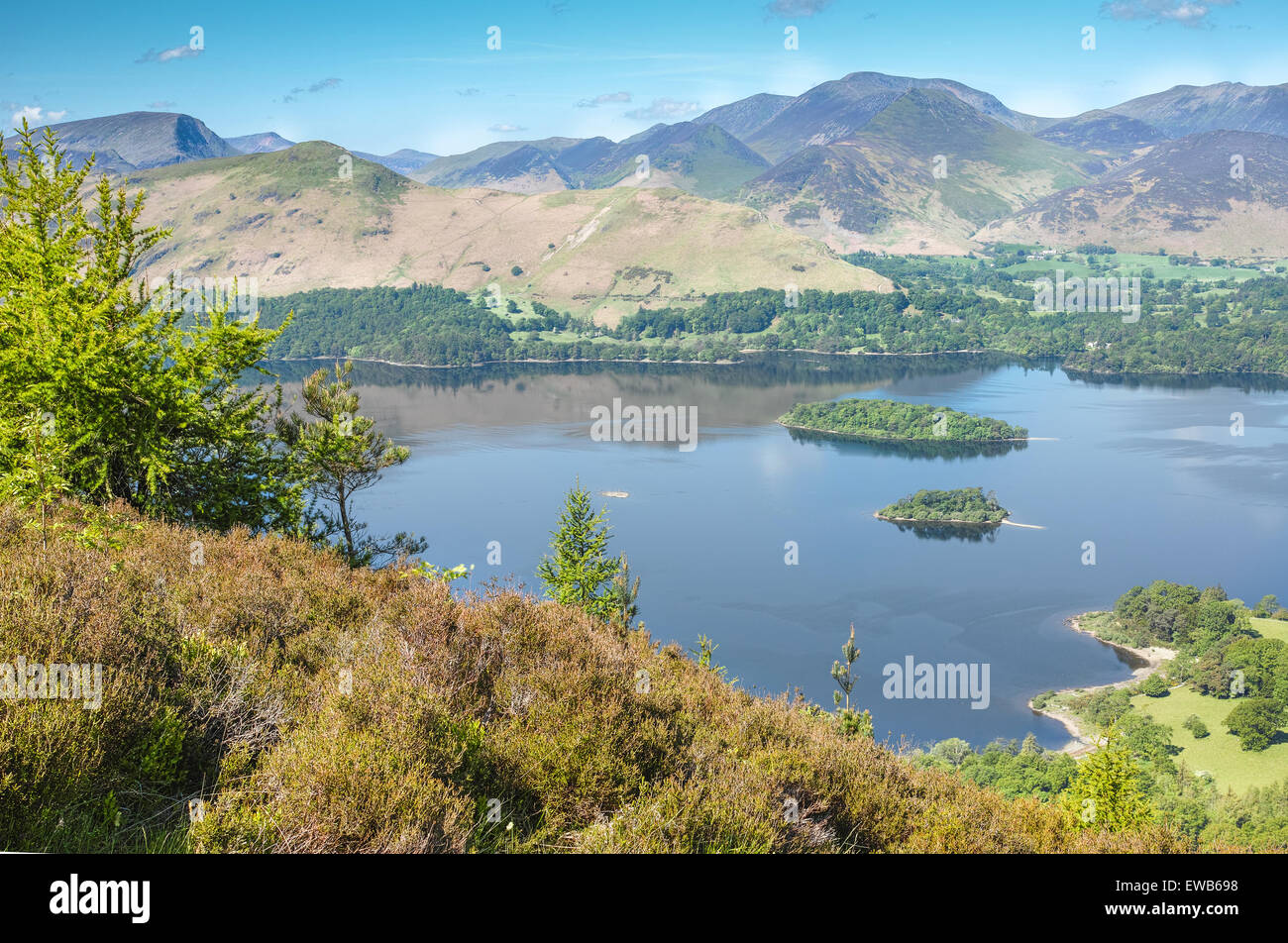 Lago Derwentwater con Cat campane e Causey Pike al di là di esso Foto Stock