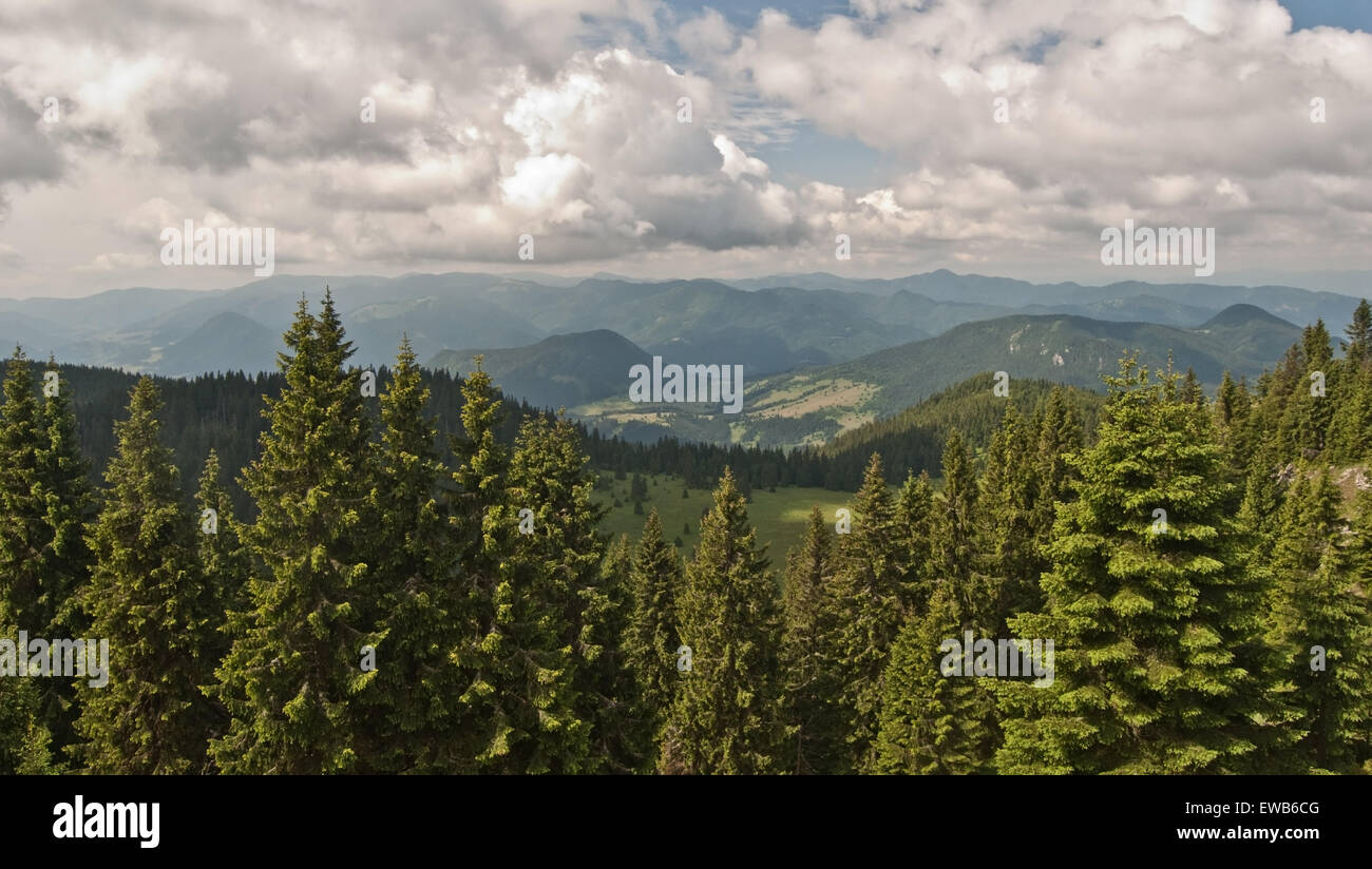 Vista di Velka Fatra montagne durante le escursioni a Velky Choc collina sopra Stredna polana prato Foto Stock