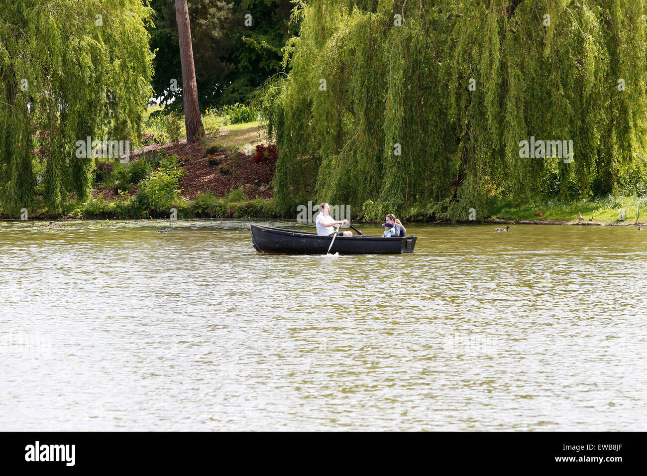 La famiglia su una barca a remi presso il castello di Hever Castle nel Kent REGNO UNITO Foto Stock