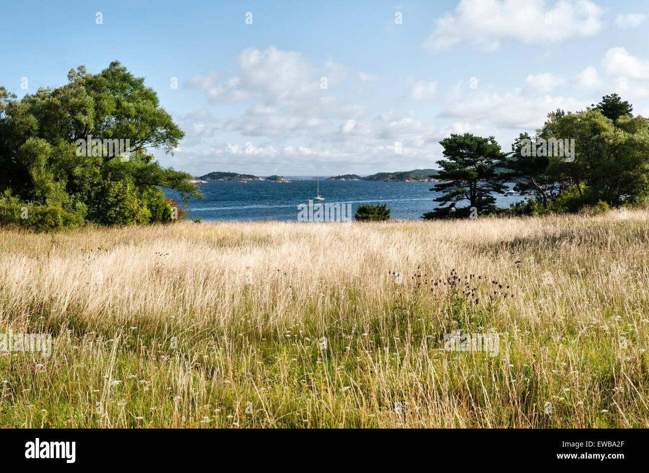 Norvegia - estate sull'isola di Søndre Sandøy, una delle isole Hvaler sud di Oslo vicino della costa svedese Foto Stock