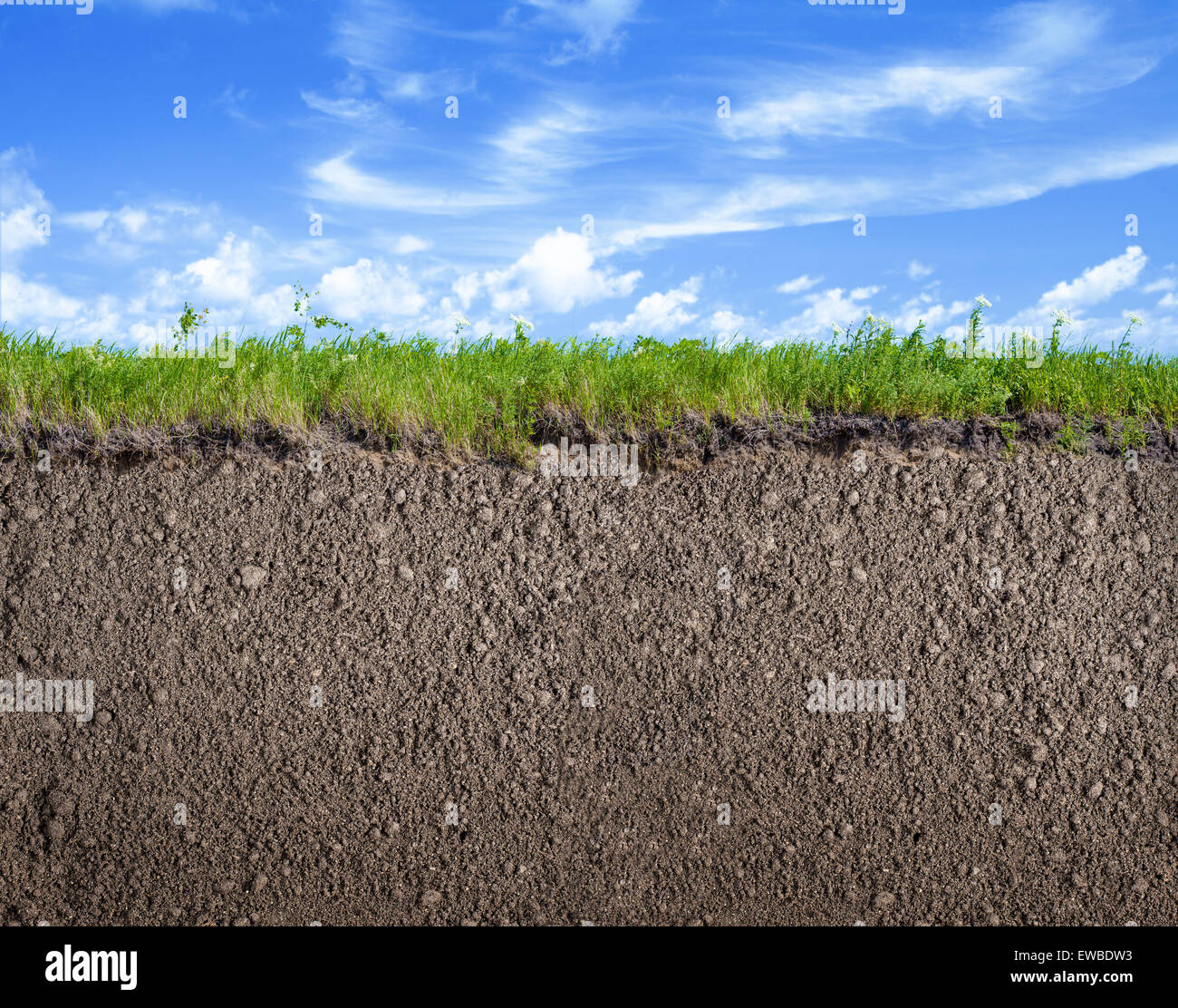 La massa di suolo, erba e cielo sullo sfondo della natura Foto Stock