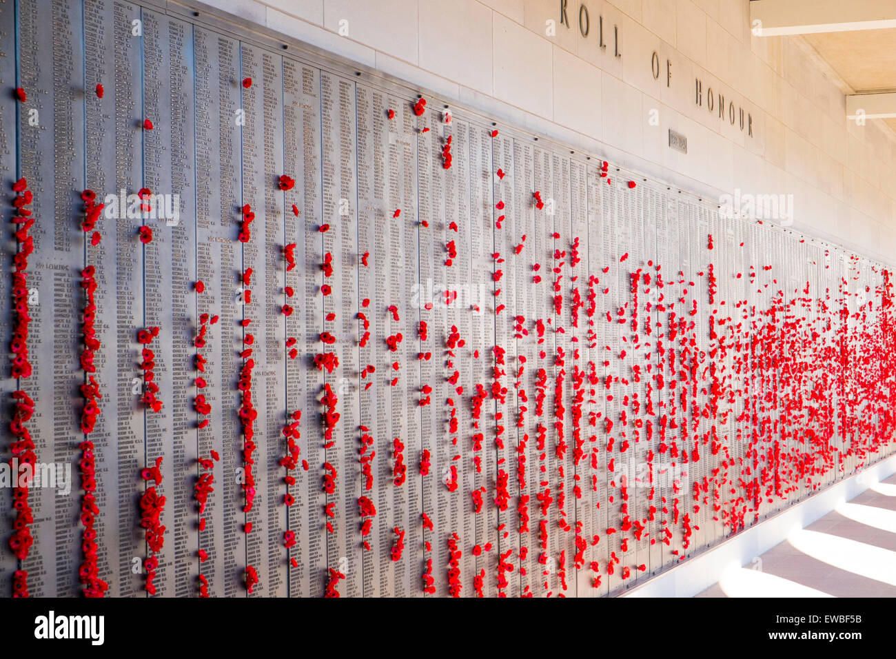 Rotolo di onore con papaveri e nomi dei soldati che perirono in varie guerre presso l'Australian War Memorial a Canberra,atto Foto Stock