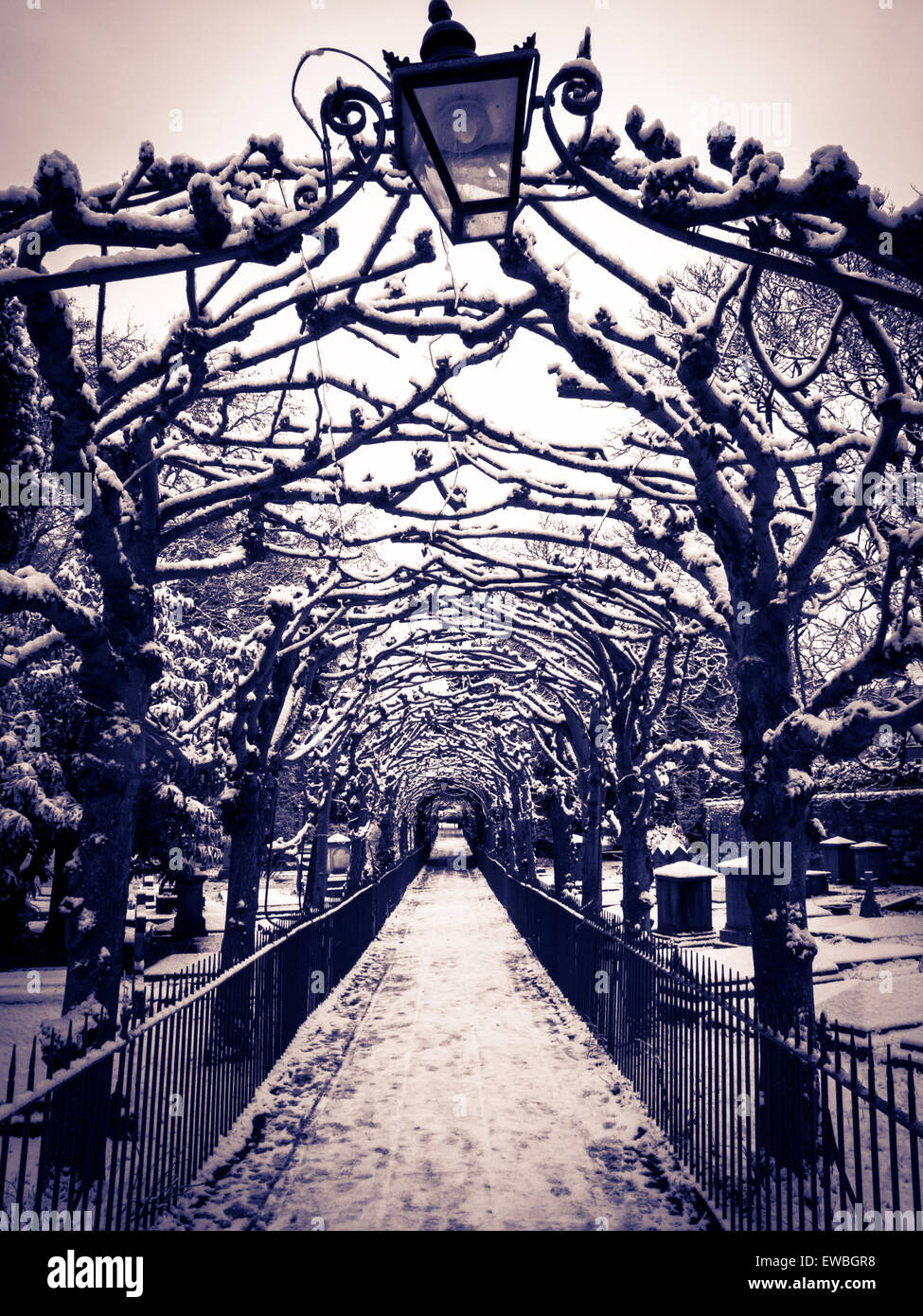 "Birdcage walk' in Clifton, Bristol, in inverni freddi giorno Foto Stock