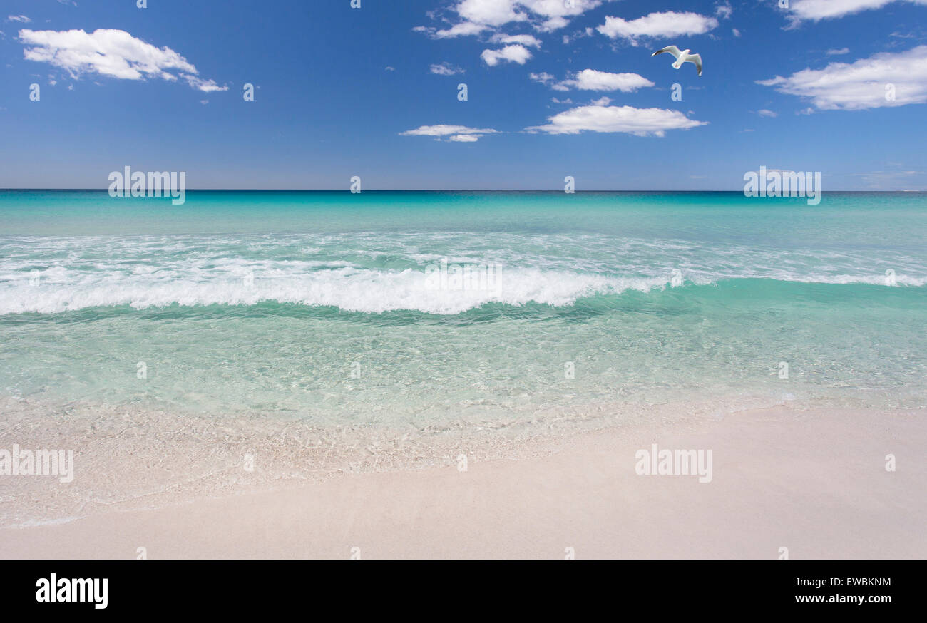 Acqua cristallina e la spiaggia di sabbia bianca e della baia di incendi, Tasmania Foto Stock